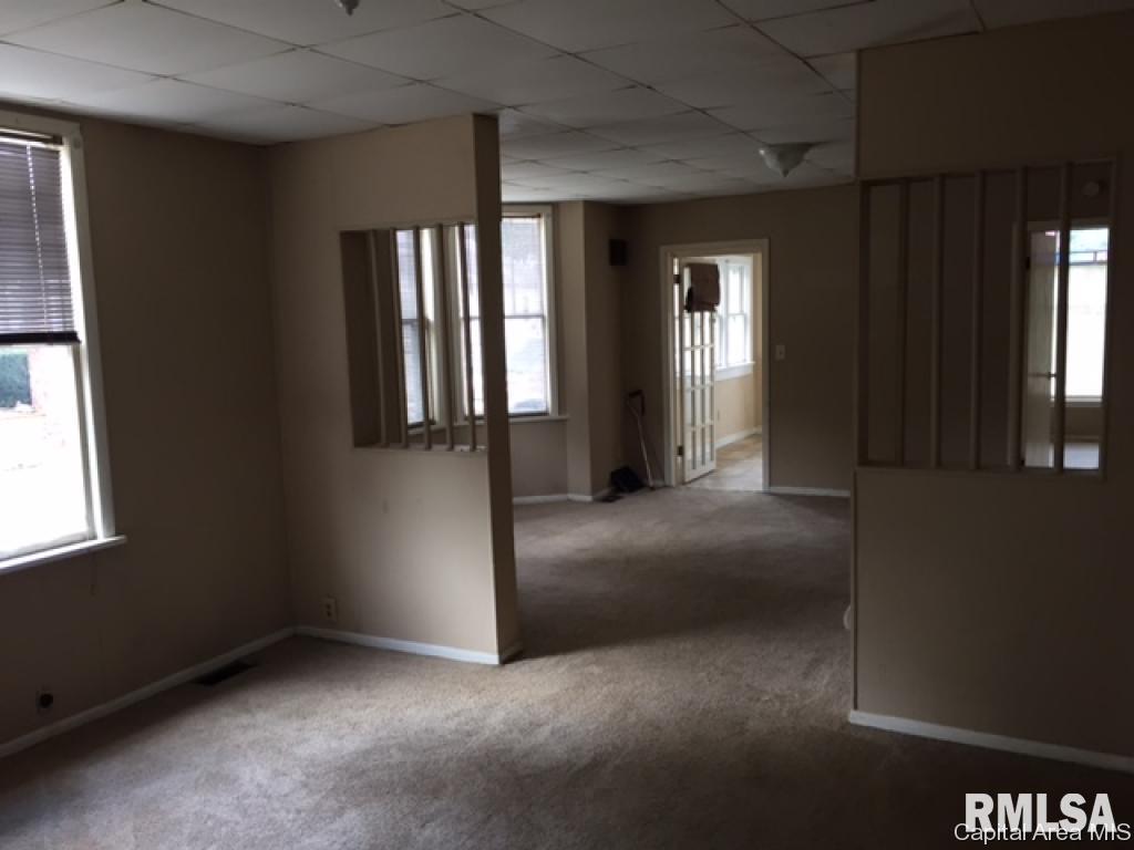 220 North Street Roodhouse, IL 62082 - Photo 4 of 10