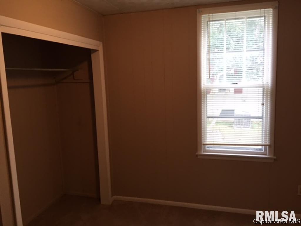 220 North Street Roodhouse, IL 62082 - Photo 9 of 10