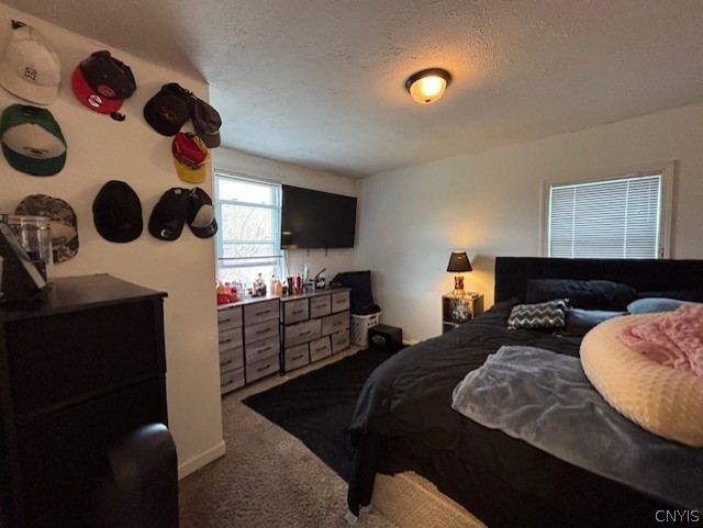 608 Cain Street Sullivan, NY 13037 - Photo 12 of 19 bedroom 1