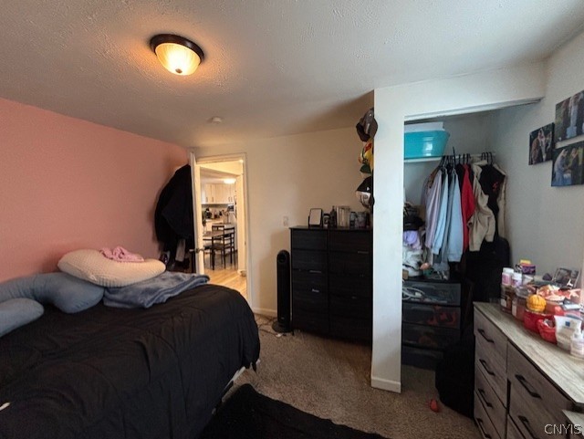 608 Cain Street Sullivan, NY 13037 - Photo 13 of 19 bedroom 1
