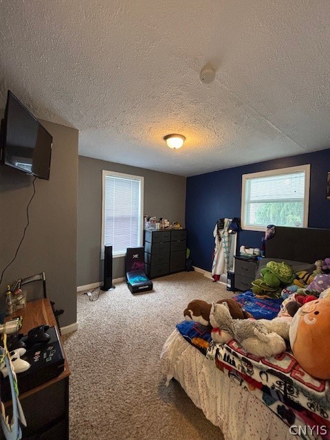608 Cain Street Sullivan, NY 13037 - Photo 14 of 19 Bedroom 2