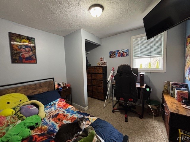 608 Cain Street Sullivan, NY 13037 - Photo 17 of 19 Bedroom 3
