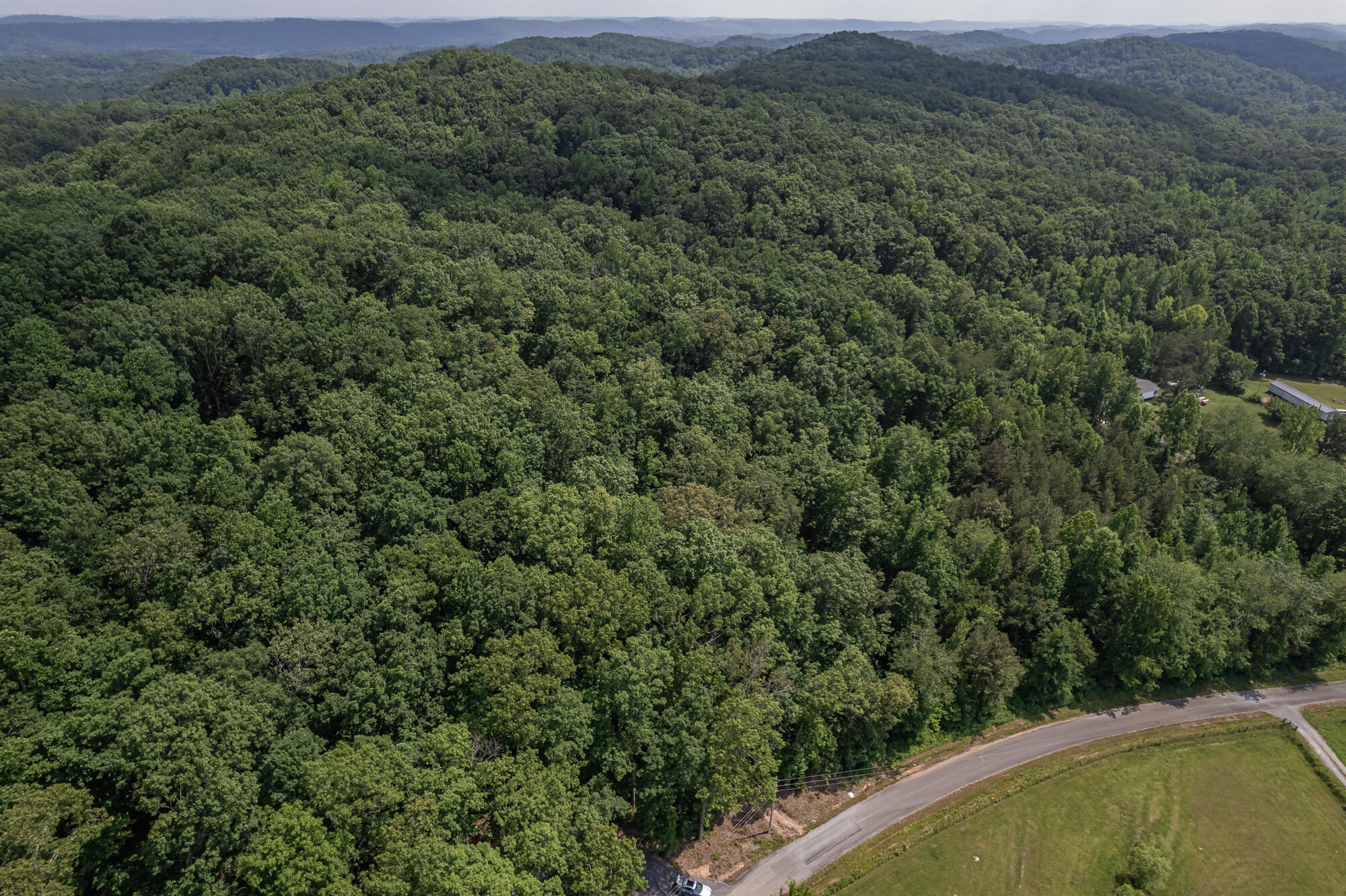 179 County Road 179 Decatur, TN 37322 - Photo 6 of 12 County Road 179-2