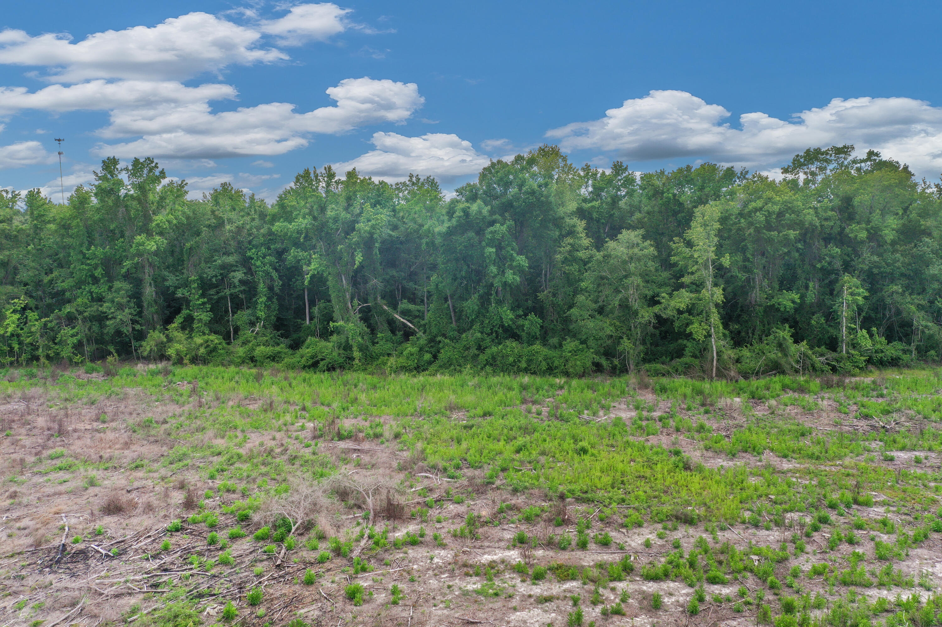 5120 North Brewington Road, Unit 2 Alcolu, SC 29001 - Photo 14 of 46 DJI_0524