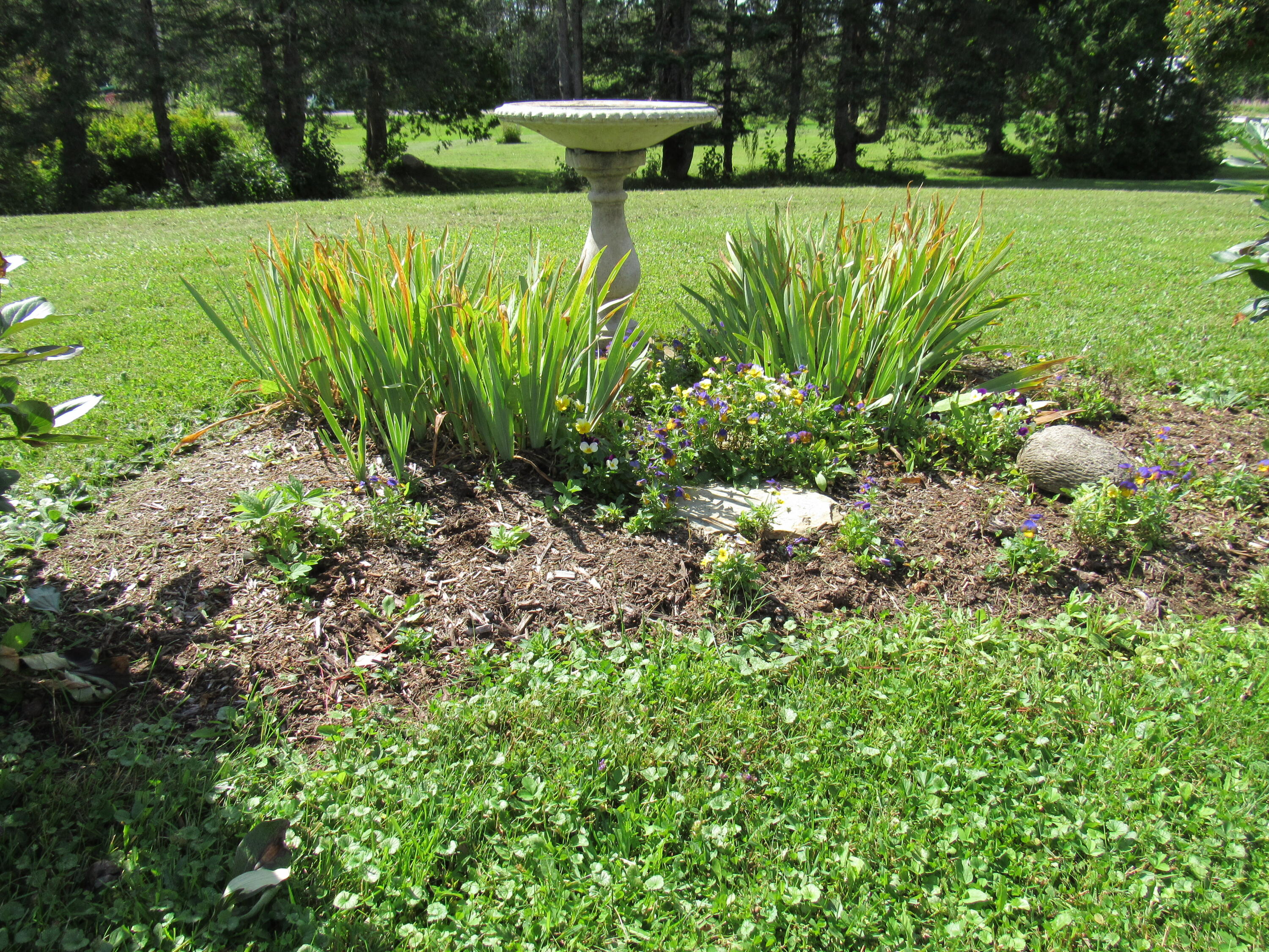 12 Jepson Road New Sweden, ME 04762 - Photo 49 of 55 Landscape 8