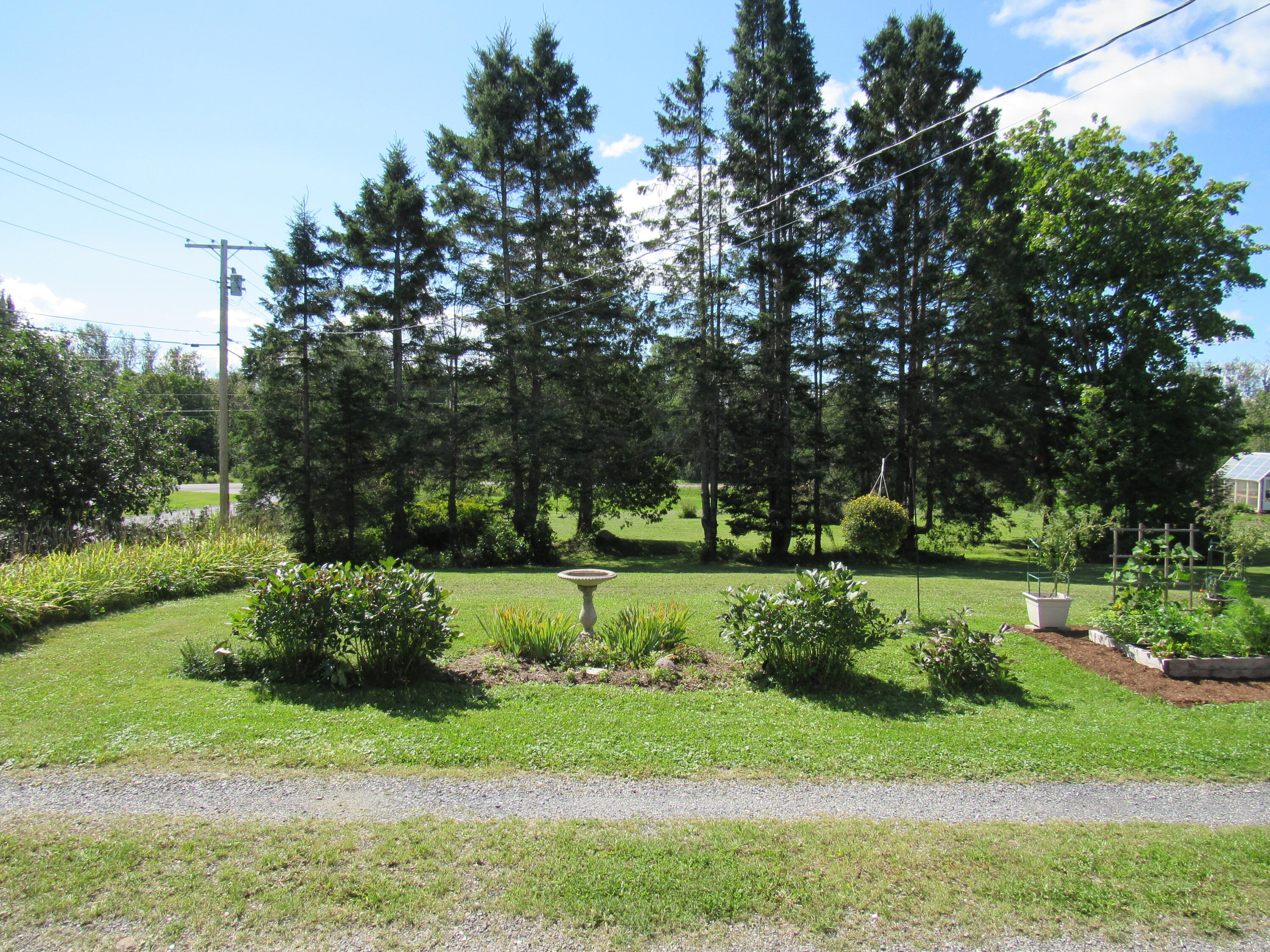 12 Jepson Road New Sweden, ME 04762 - Photo 50 of 55 lanscape 1