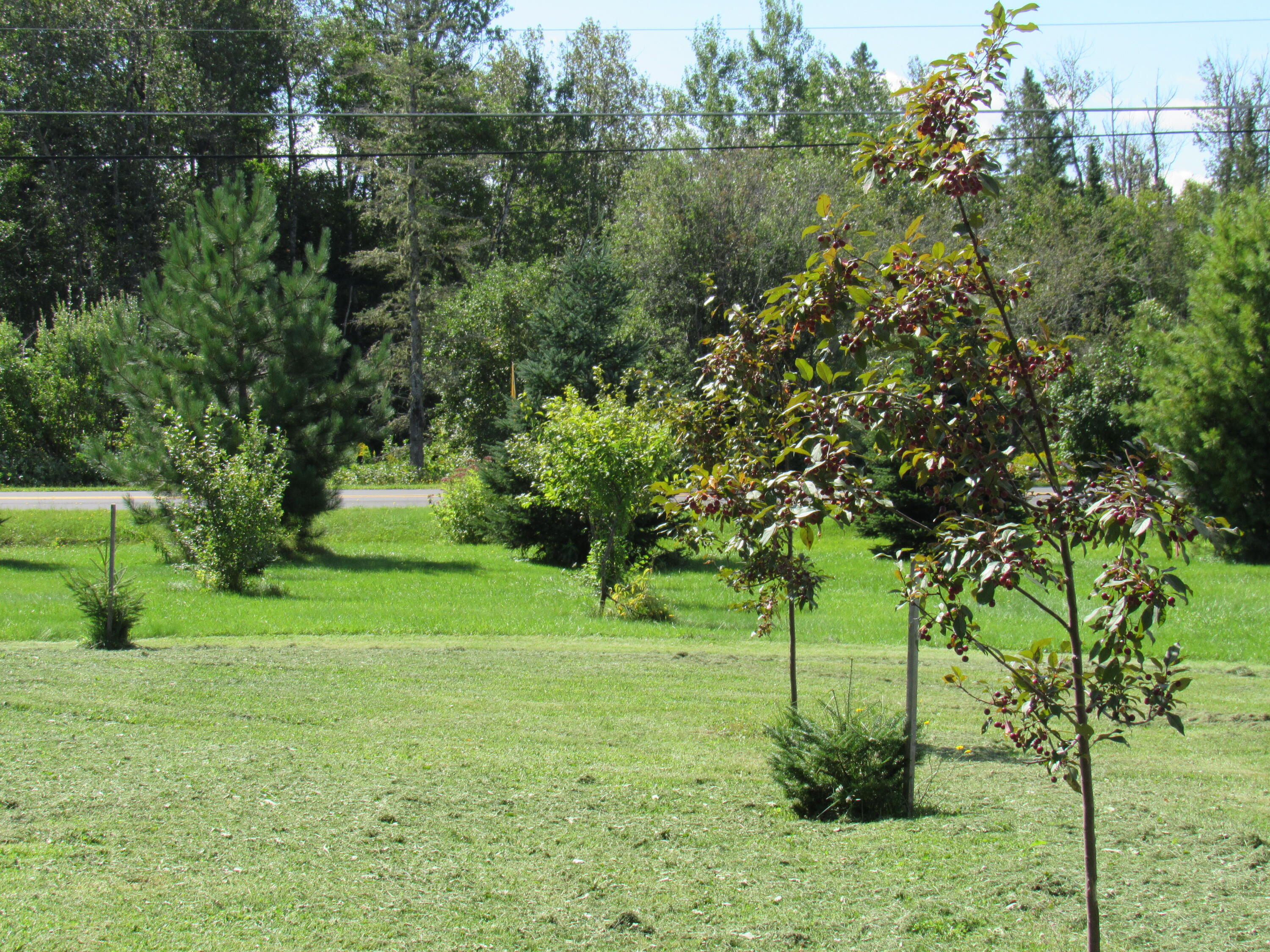 12 Jepson Road New Sweden, ME 04762 - Photo 53 of 55 side lot 2