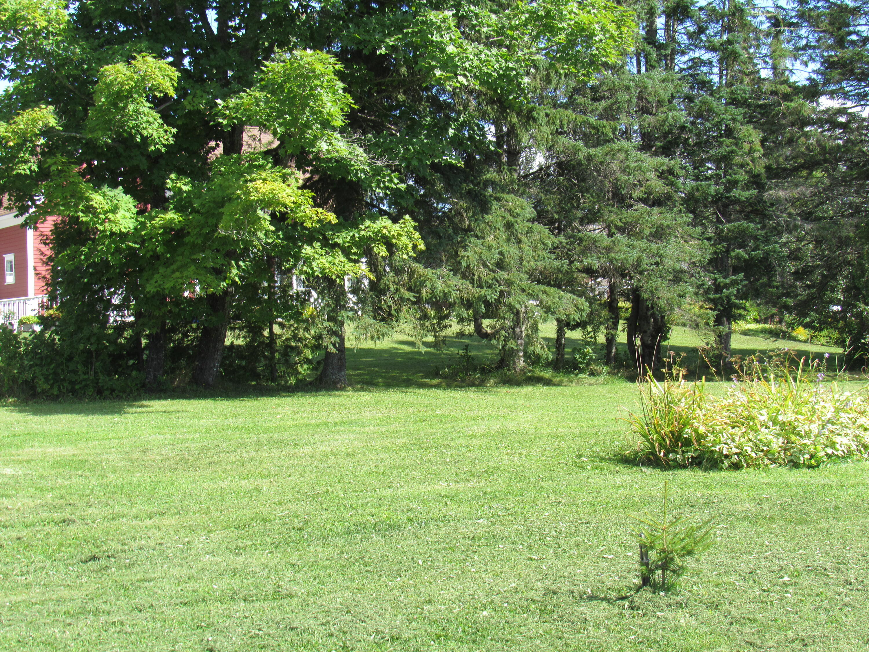 12 Jepson Road New Sweden, ME 04762 - Photo 55 of 55 side lot 4