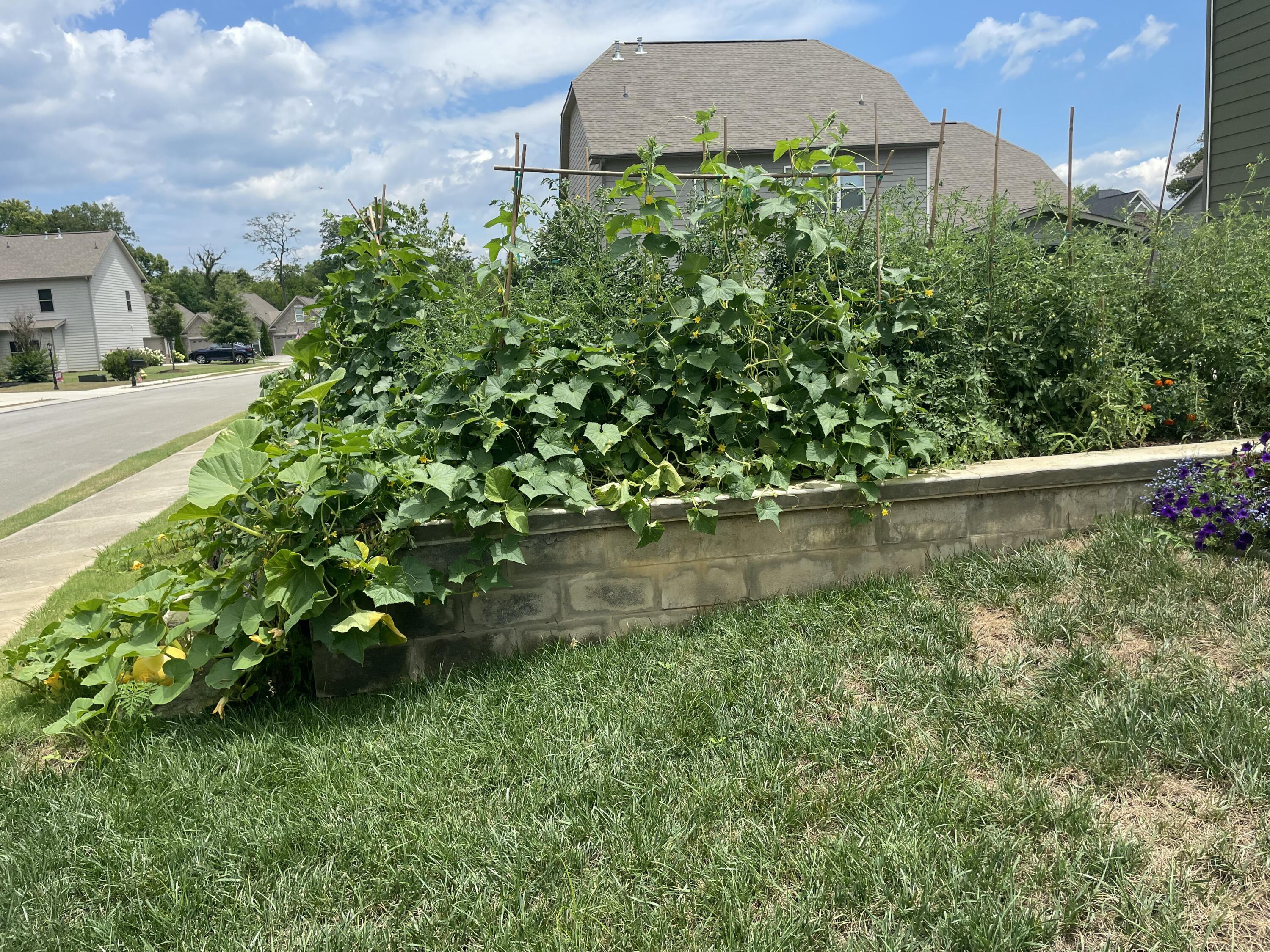 1125 Little Sorrel Road Hixson, TN 37343 - Photo 60 of 60 IMG_3218