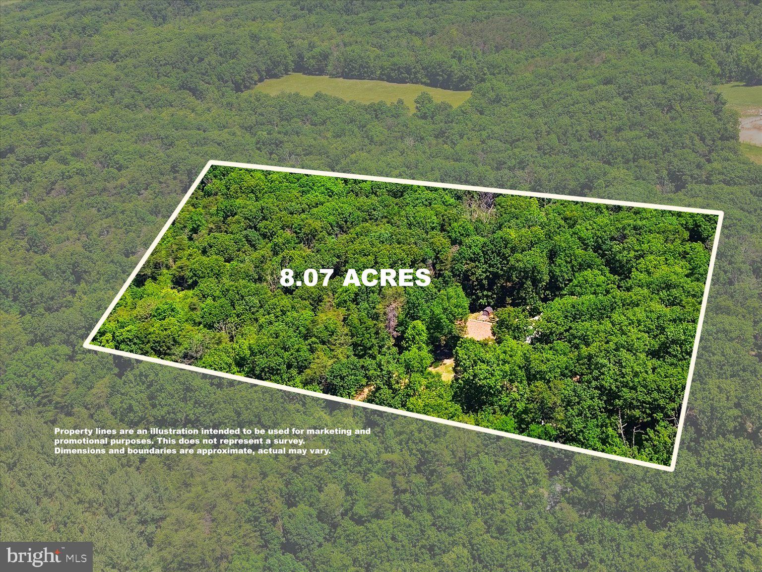323 South Timber Ridge Road Cross Junction, VA 22625 - Photo 103 of 109 Expansive 8. 07 Acres of Nature