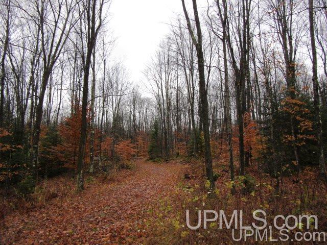 16085 15.5 Road Wetmore, MI 49895 - Photo 14 of 20