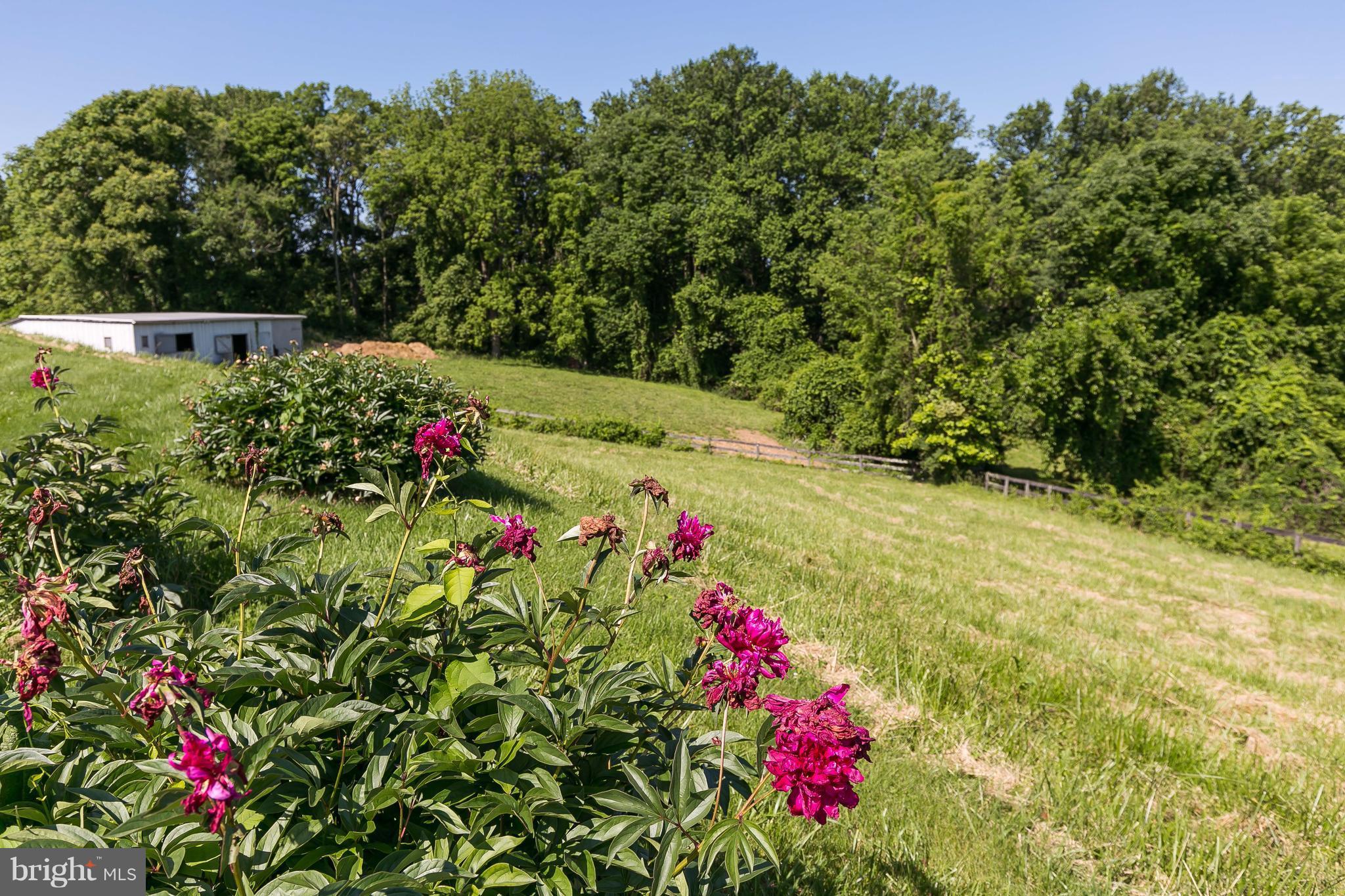 14100 Falls Road Cockeysville, MD 21030 - Photo 14 of 25 Exterior (General)