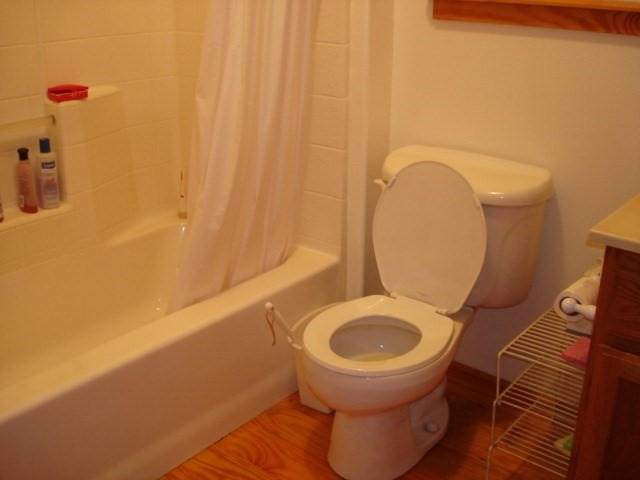 19-4031 Haunani Road Volcano, HI 96785 - Photo 8 of 21 a bathroom with a toilet and a sink