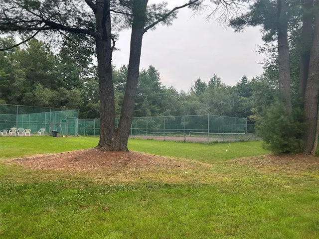 a view of a swimming pool with a yard and large trees