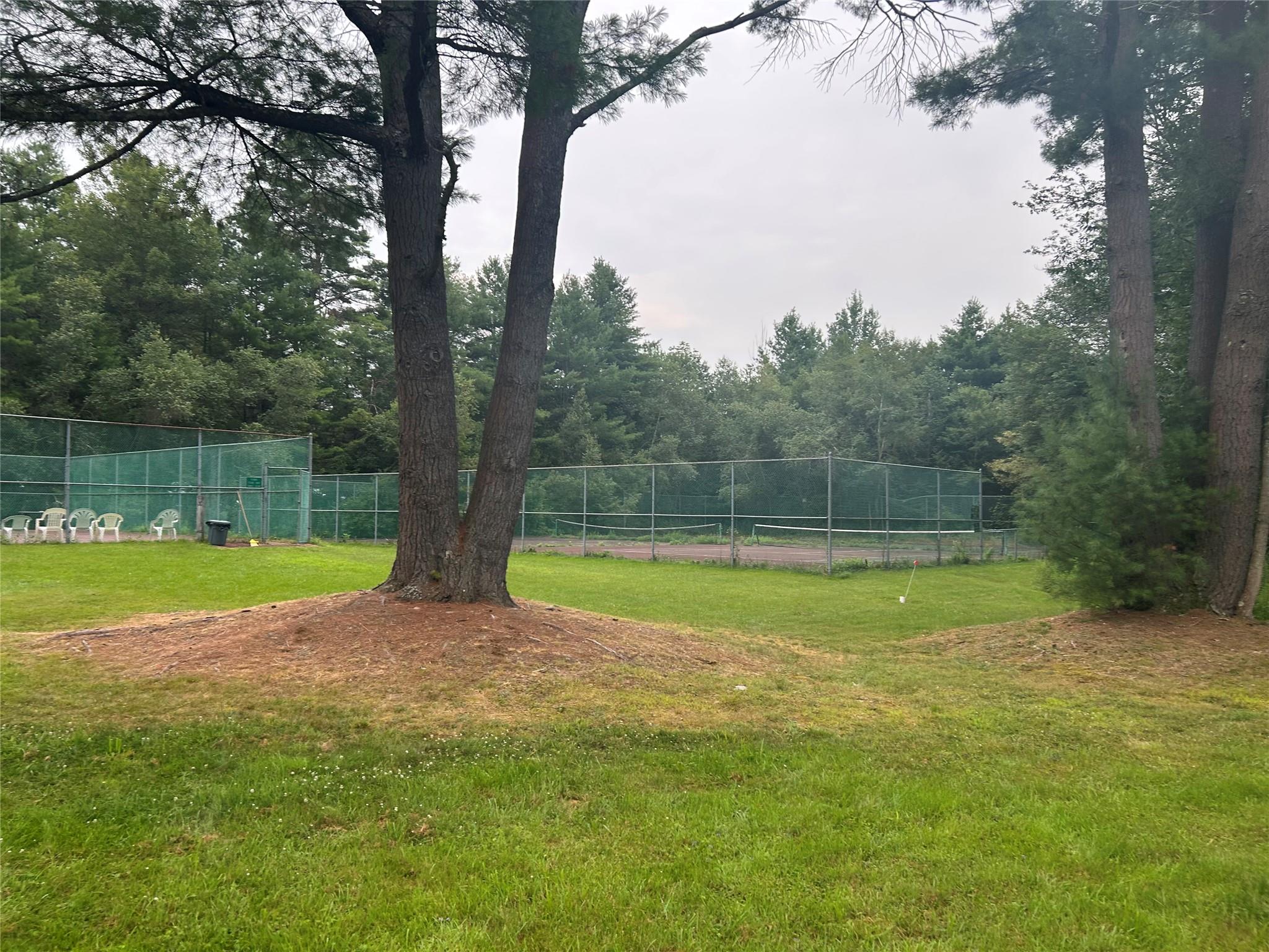 a view of a swimming pool with a yard and large trees
