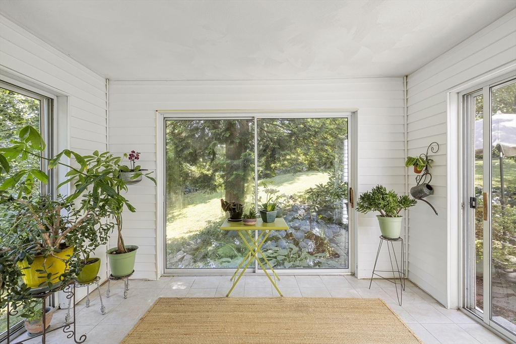208 Rutledge Road Belmont, MA 02478 - Photo 15 of 34 a room with garden view and a potted plant