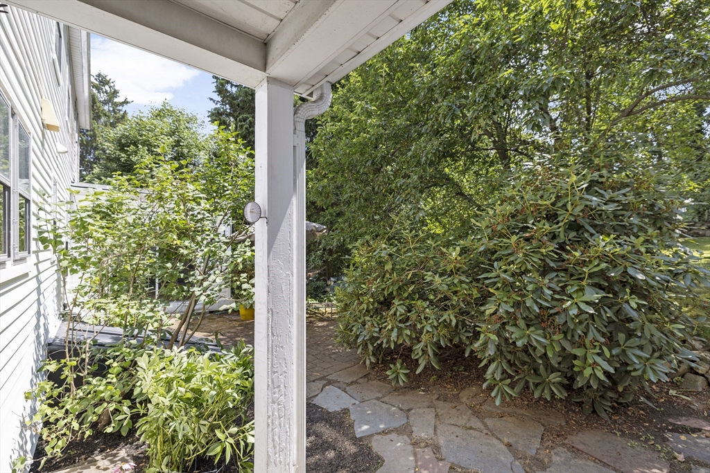 208 Rutledge Road Belmont, MA 02478 - Photo 31 of 34 a view of a yard