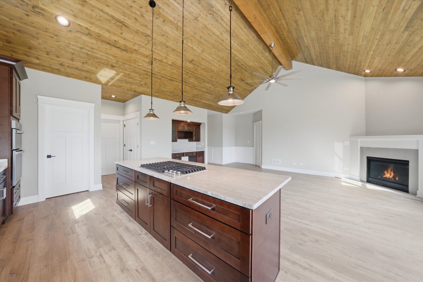 19503 Tramore Lane Mokena, IL 60448 - Photo 7 of 49