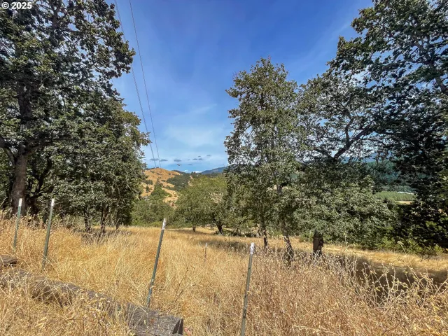 a view of a yard with a tree
