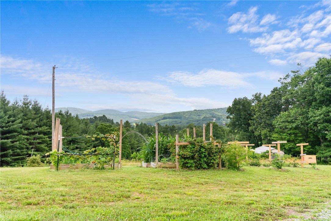 287 Wolfe Road Sparta, NC 28675 - Photo 34 of 50