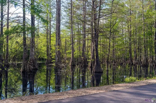 $69,900 | 15775 Cypress Point Lane, French Settlement, LA 70733