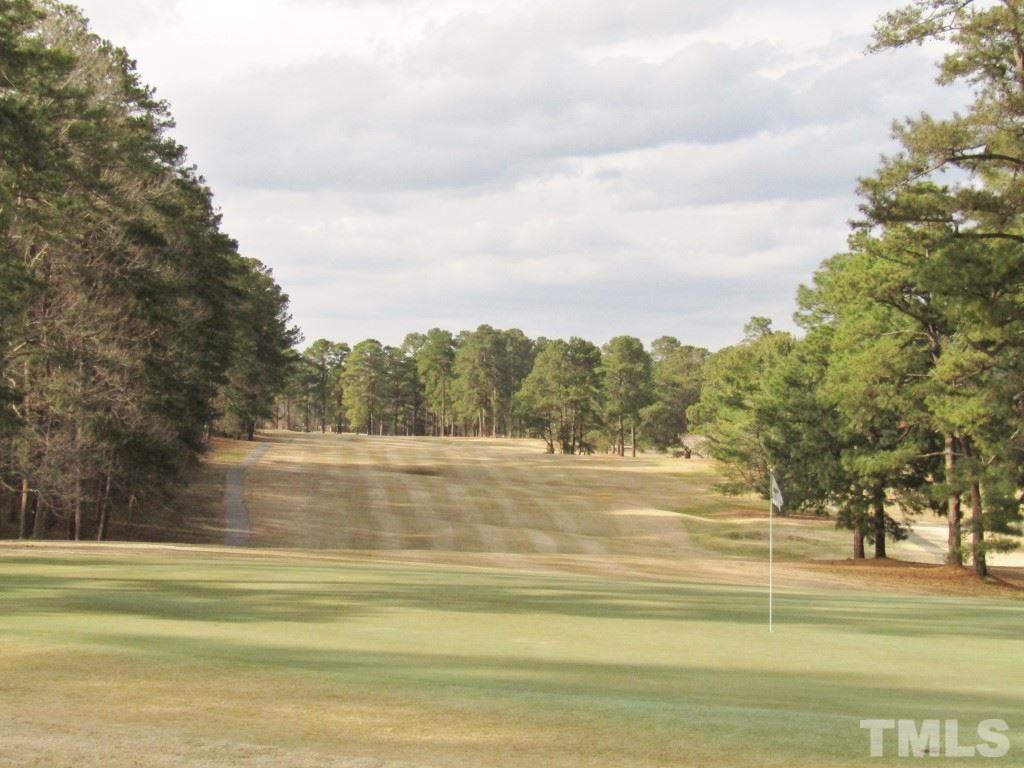 0 Golf Course Road Sanford, NC 27330 - Photo 3 of 4 Gallery Image 3