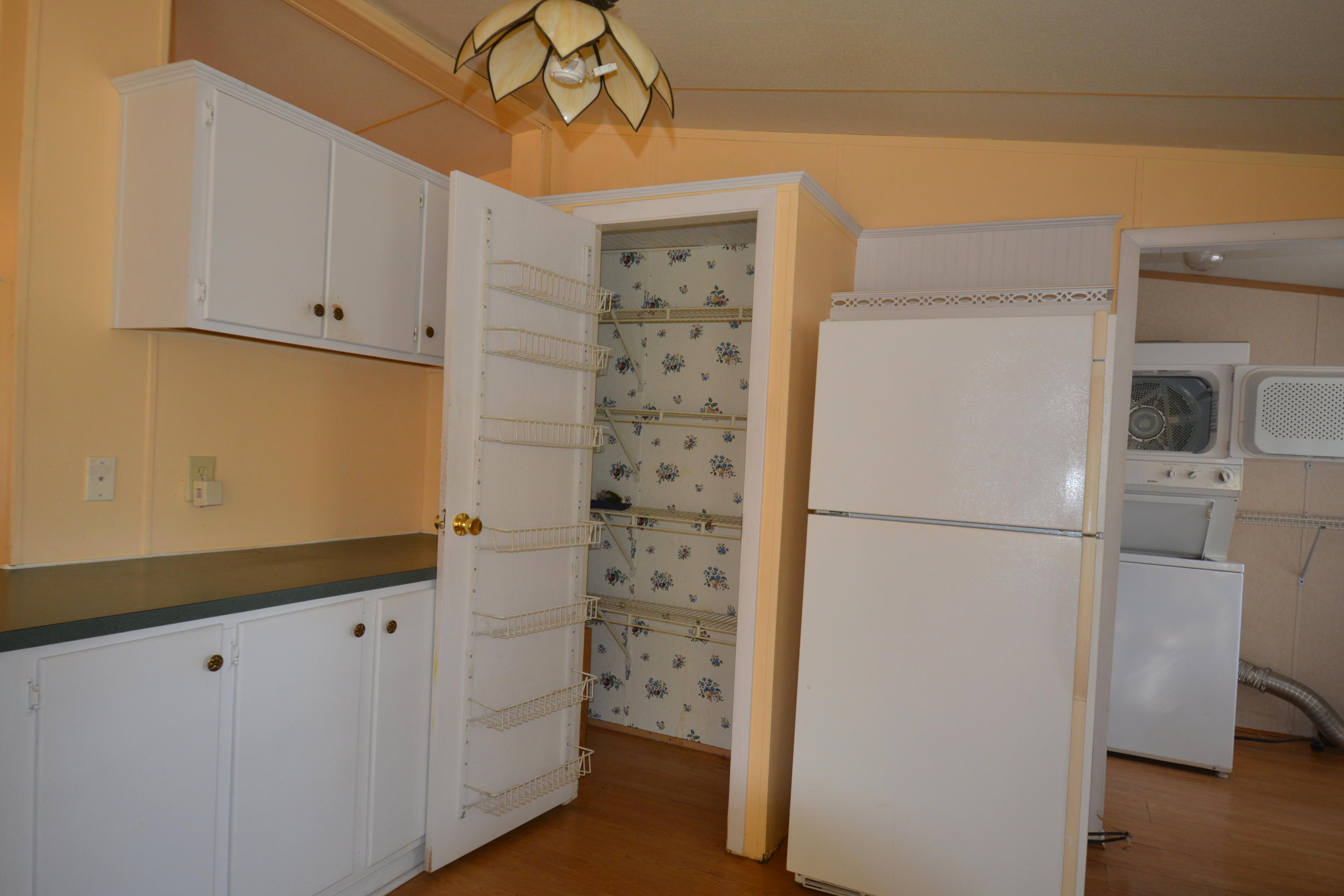 5729 Blufton Road Hollywood, SC 29449 - Photo 18 of 32 large pantry in kitchen