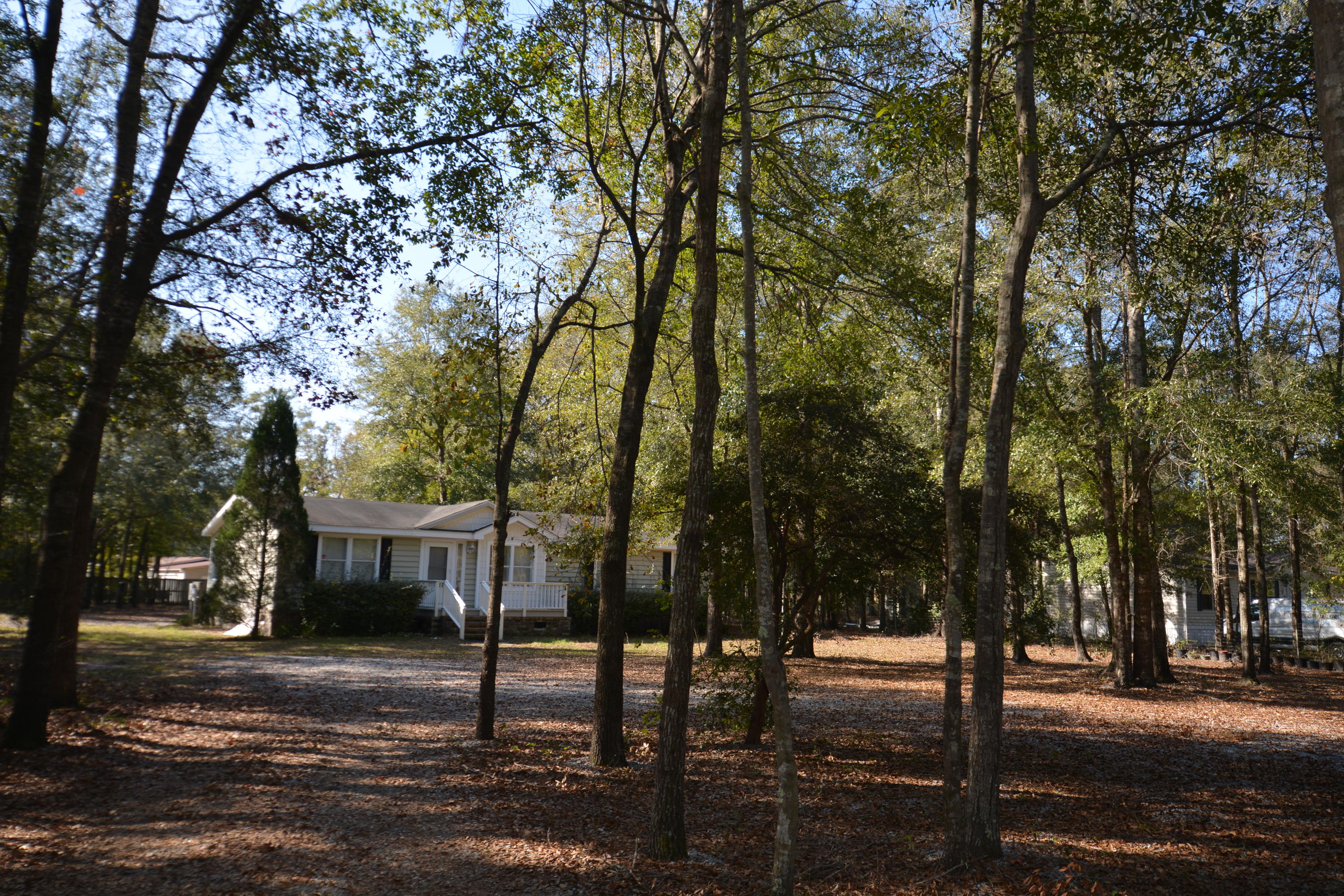 5729 Blufton Road Hollywood, SC 29449 - Photo 3 of 32 nestled in the trees
