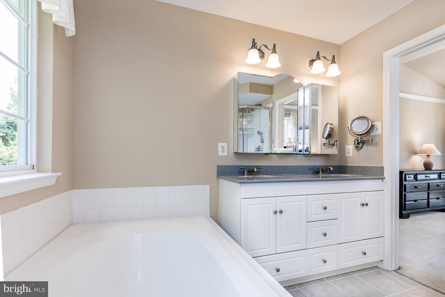 3931 Hunter Road Ellicott City, MD 21043 - Photo 22 of 50 double vanity and lots of storage