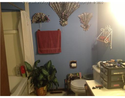 254 Spring Street Ripley, WV 25271 - Photo 5 of 6 Main Level Bathroom.