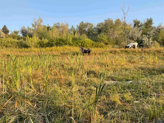 $385,000 | 299 Leedy Drive, Lander, WY 82520