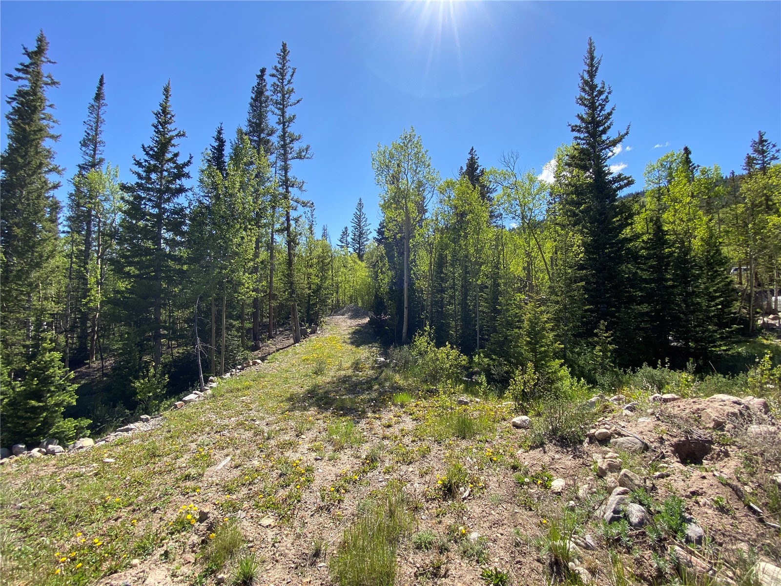 522 Quartzville Road Alma, CO 80420 - Photo 24 of 46