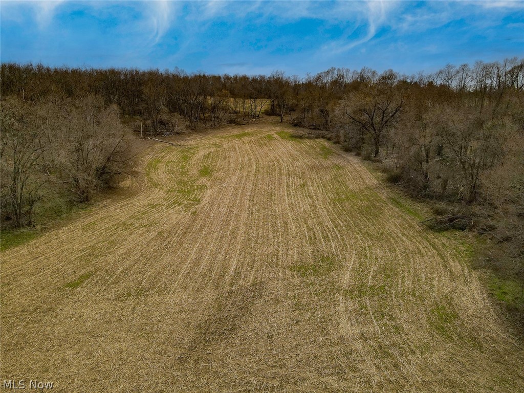 0 Lonesome Road Thornville, OH 43076 - Photo 19 of 31