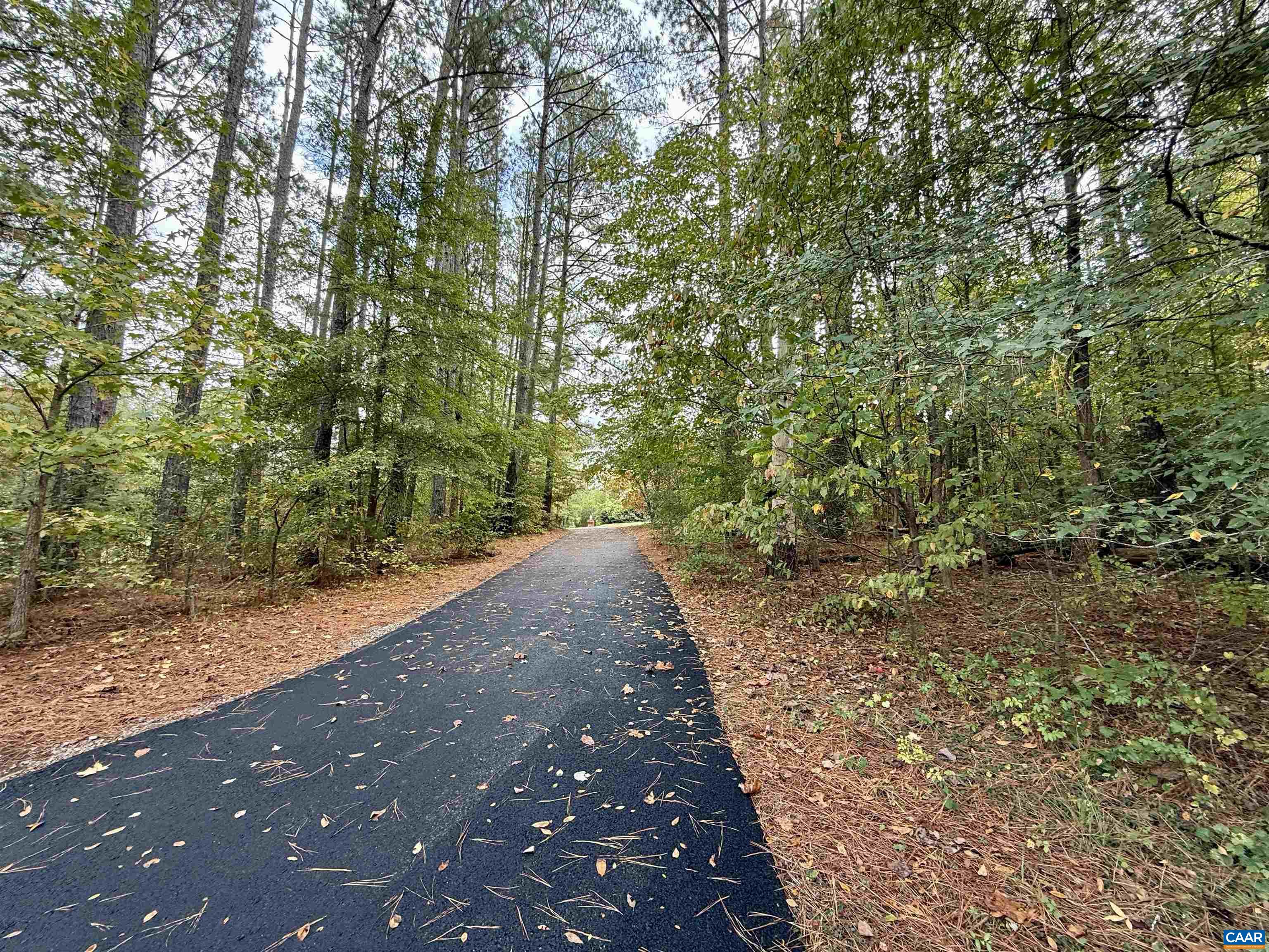 14007 Spring Road Montpelier, VA 23192 - Photo 33 of 43