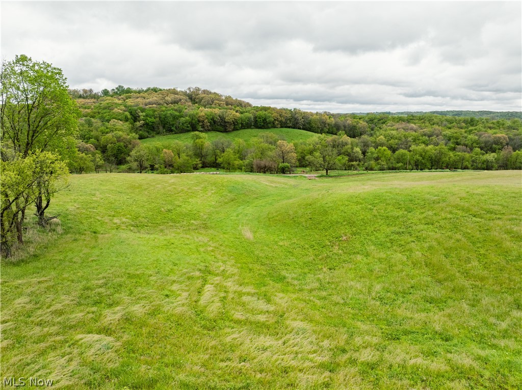 Timmerman Road Bowerston, OH 44695 - Photo 20 of 26