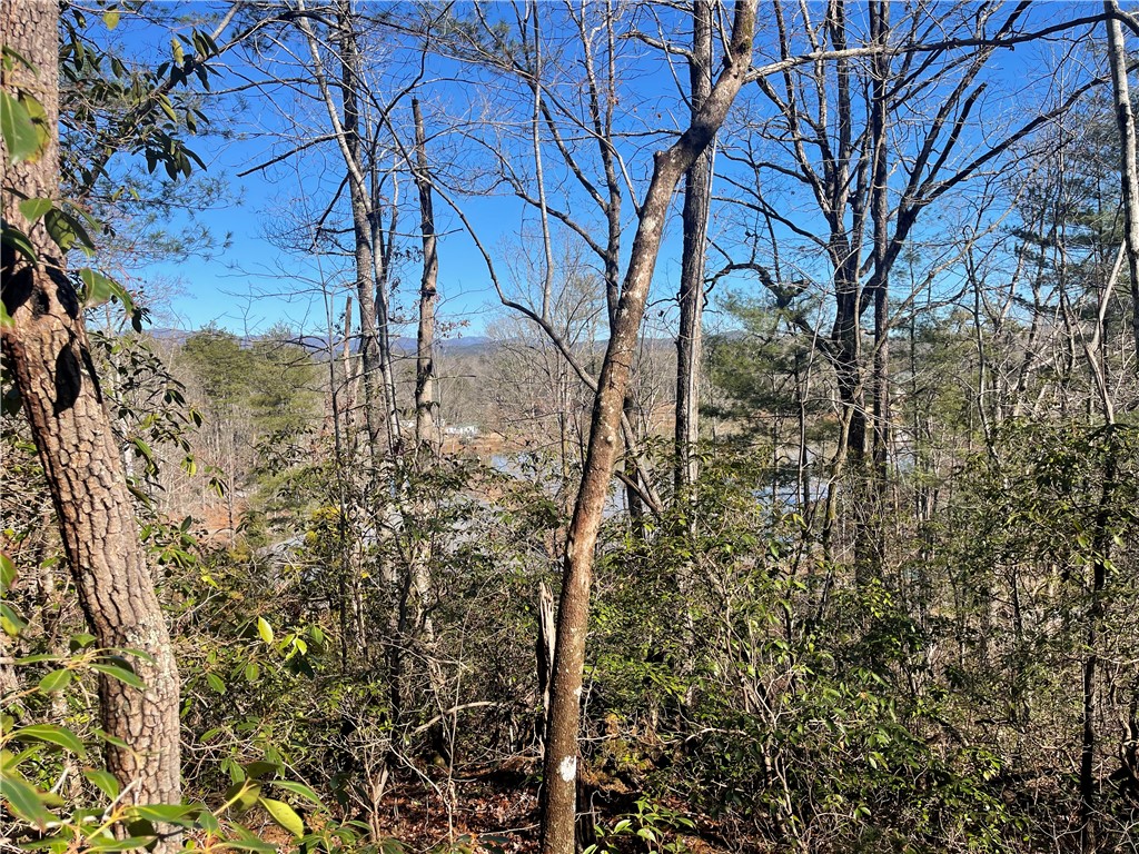 305 Whitewater Lake Road Tamassee, SC 29686 - Photo 12 of 36 This tranquil wooded lot offers