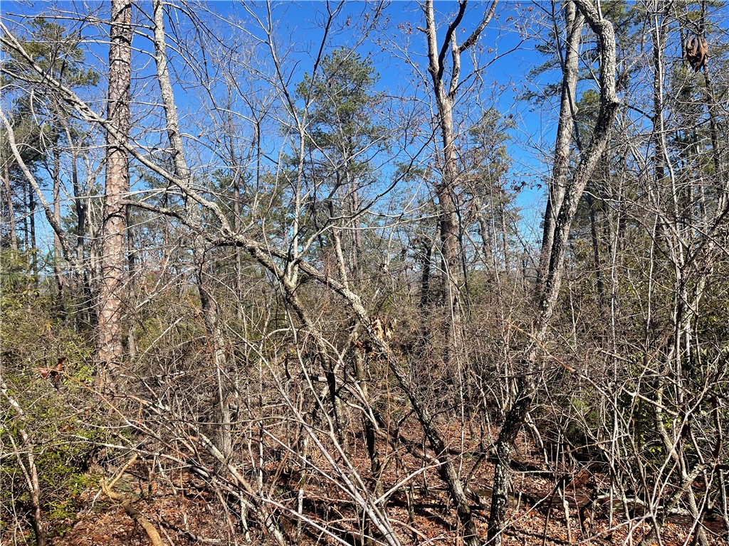 305 Whitewater Lake Road Tamassee, SC 29686 - Photo 13 of 36