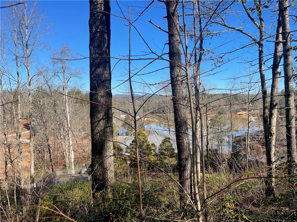 305 Whitewater Lake Road Tamassee, SC 29686 - Photo 15 of 36