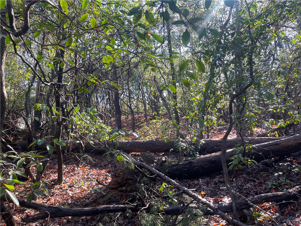 305 Whitewater Lake Road Tamassee, SC 29686 - Photo 17 of 36