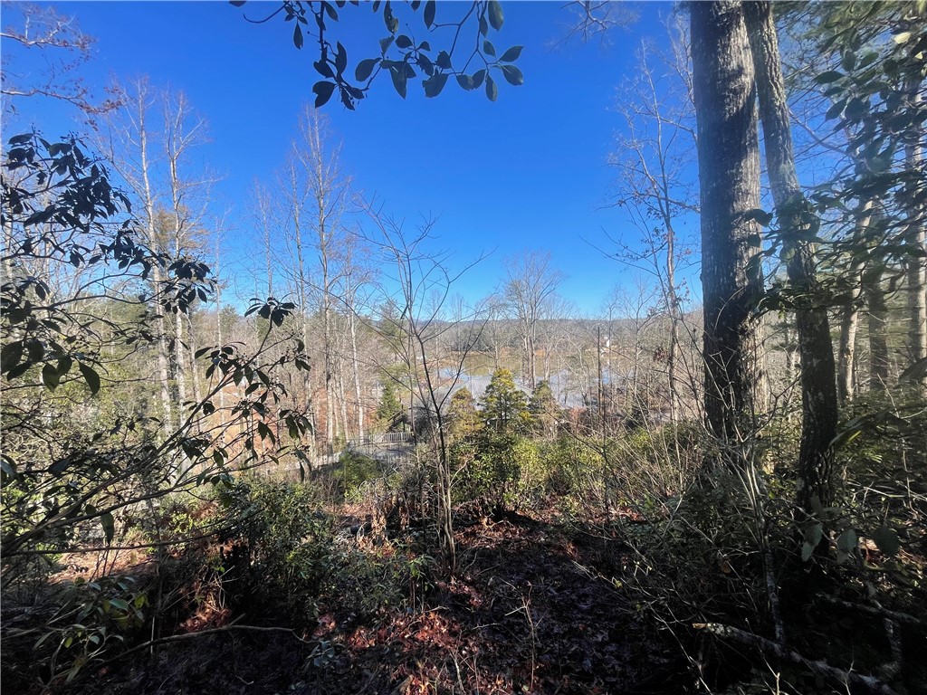 305 Whitewater Lake Road Tamassee, SC 29686 - Photo 18 of 36