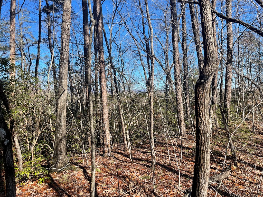 305 Whitewater Lake Road Tamassee, SC 29686 - Photo 19 of 36