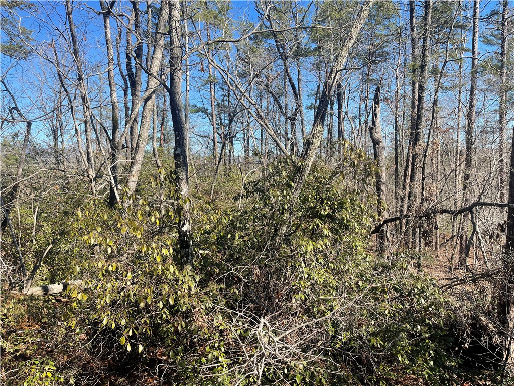 305 Whitewater Lake Road Tamassee, SC 29686 - Photo 21 of 36