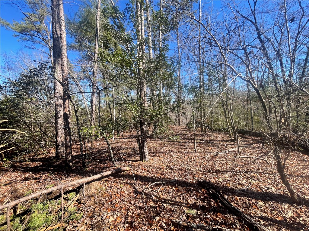 305 Whitewater Lake Road Tamassee, SC 29686 - Photo 22 of 36