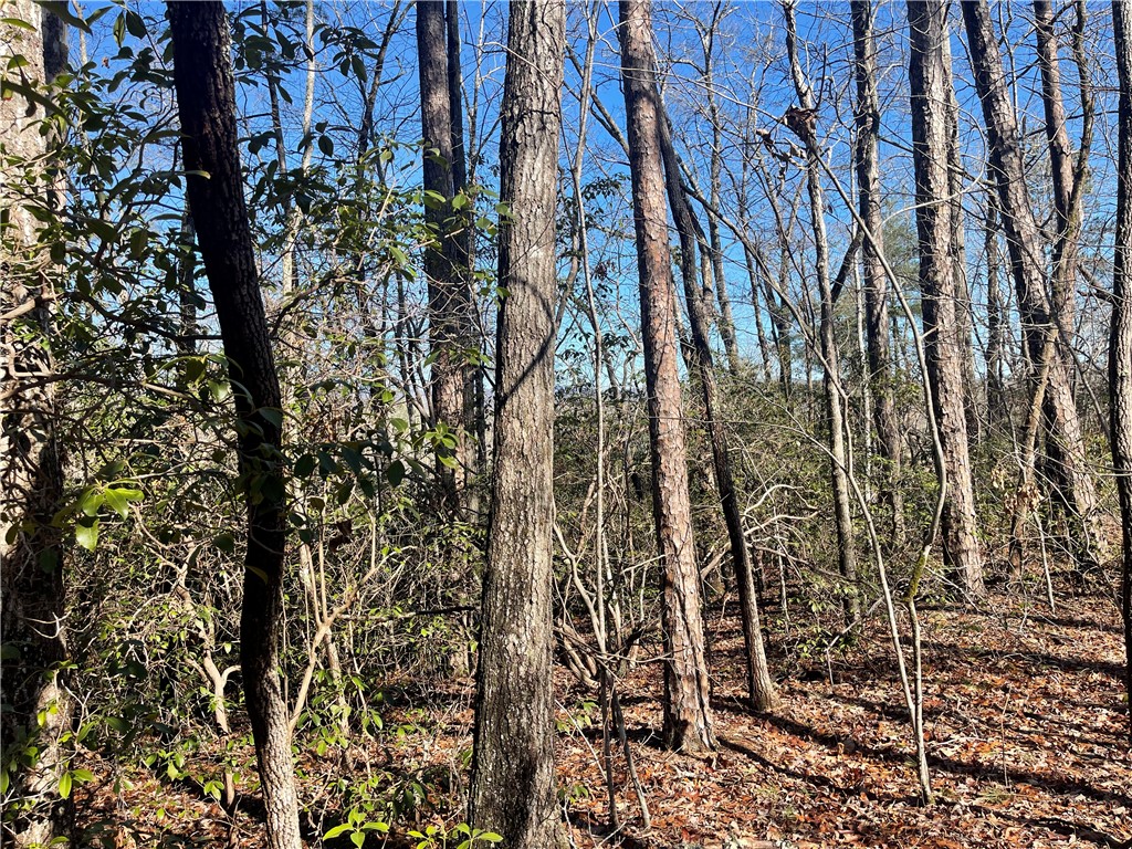 305 Whitewater Lake Road Tamassee, SC 29686 - Photo 26 of 36