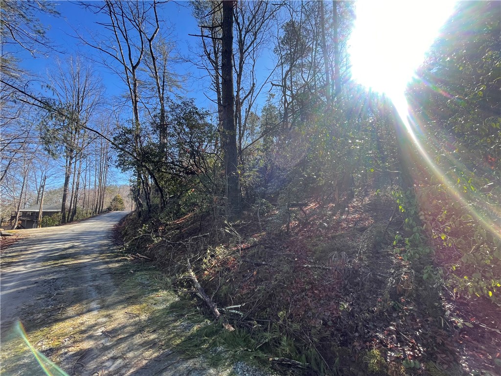 305 Whitewater Lake Road Tamassee, SC 29686 - Photo 27 of 36