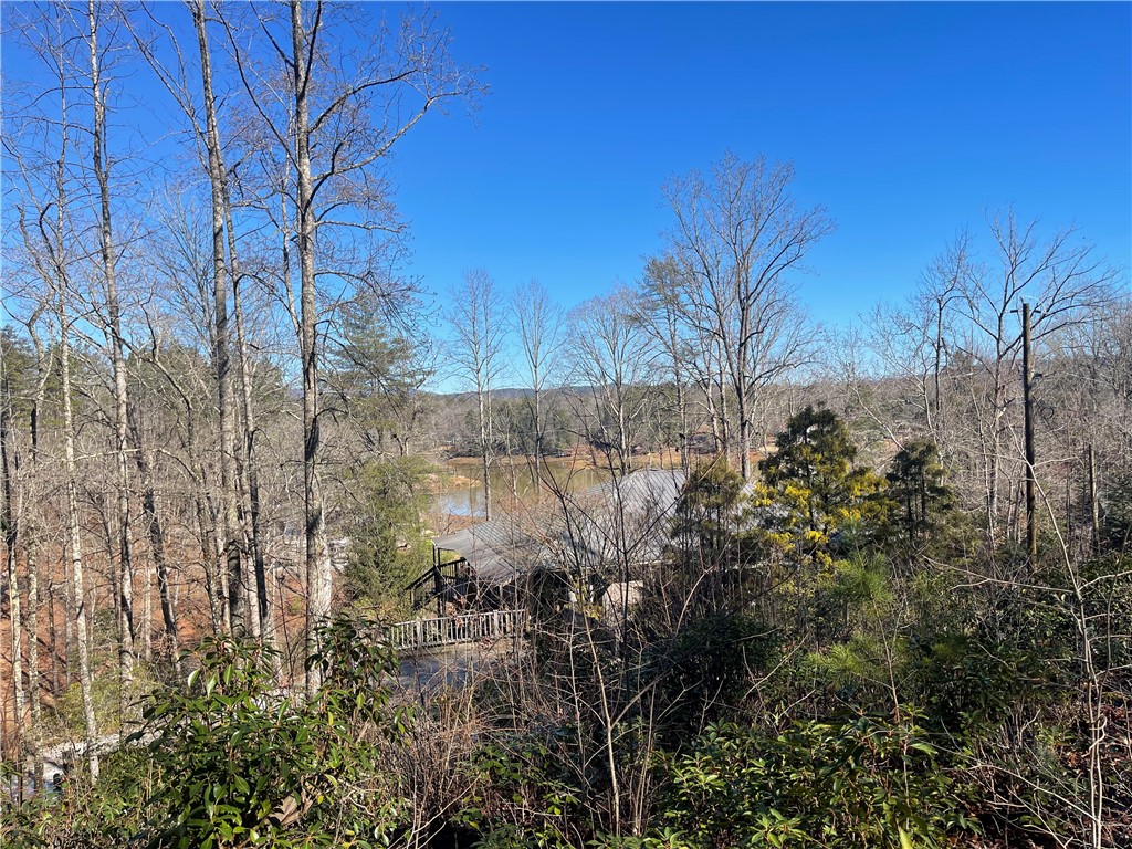 305 Whitewater Lake Road Tamassee, SC 29686 - Photo 29 of 36