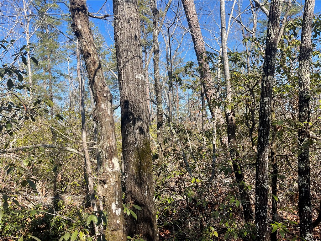 305 Whitewater Lake Road Tamassee, SC 29686 - Photo 3 of 36