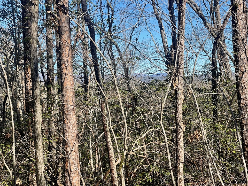 305 Whitewater Lake Road Tamassee, SC 29686 - Photo 33 of 36