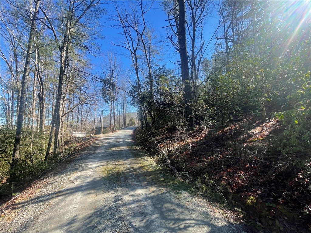 305 Whitewater Lake Road Tamassee, SC 29686 - Photo 34 of 36
