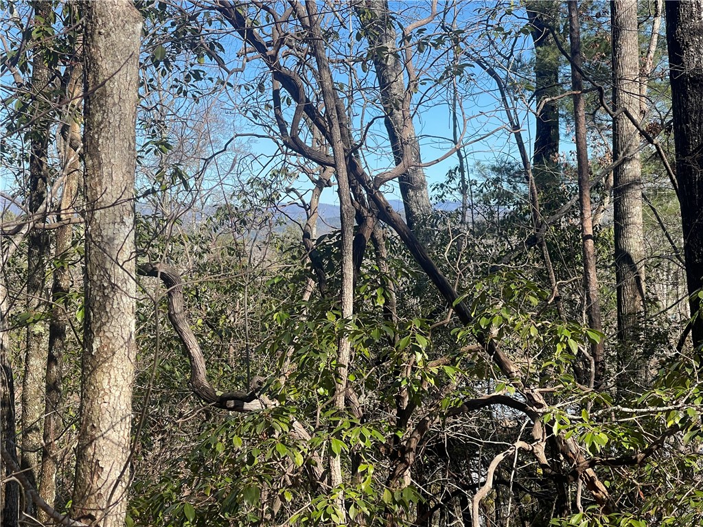 305 Whitewater Lake Road Tamassee, SC 29686 - Photo 4 of 36